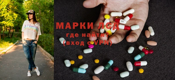ПСИЛОЦИБИНОВЫЕ ГРИБЫ Абаза