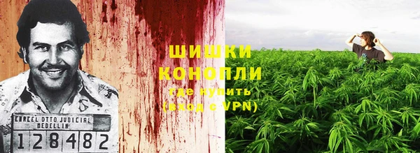 ПСИЛОЦИБИНОВЫЕ ГРИБЫ Абаза