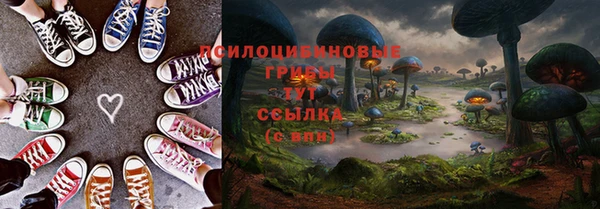 ПСИЛОЦИБИНОВЫЕ ГРИБЫ Абаза