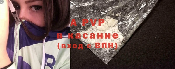 ПСИЛОЦИБИНОВЫЕ ГРИБЫ Абаза
