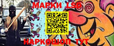 шишки Ставрополь