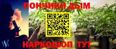 шишки Ставрополь