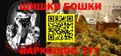 МДПВ Сланцы