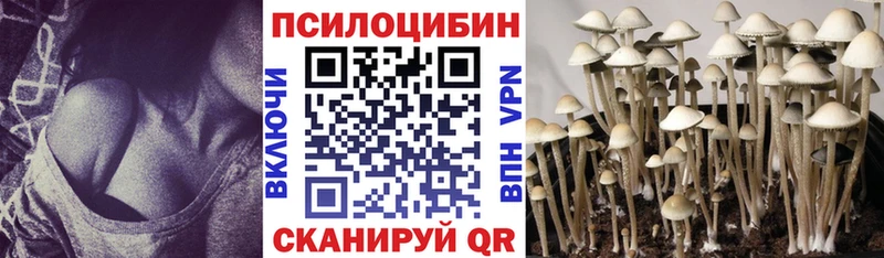 Псилоцибиновые грибы мицелий  нарко площадка как зайти  Нягань 