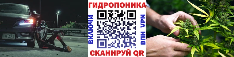Марихуана марихуана  Нягань 